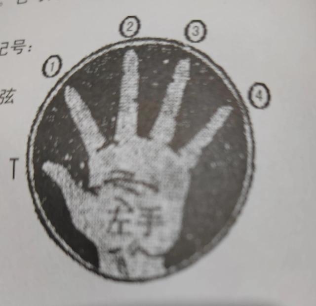 吉他入门基本功，怎么学吉他基本功（吉他初学入门）