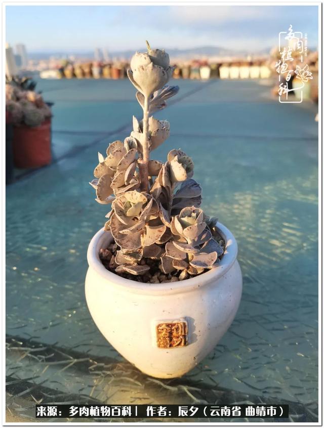 雨露均沾后宅古代n，雨露均沾后宅古代n女尊（终能遇见美好）