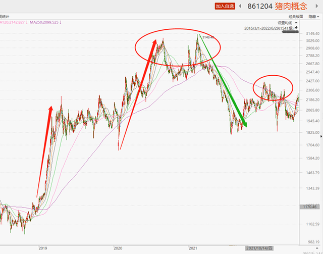 生肖猪2021年年运势，生肖猪2021年的全年运势（三个月规模增长64.6%）
