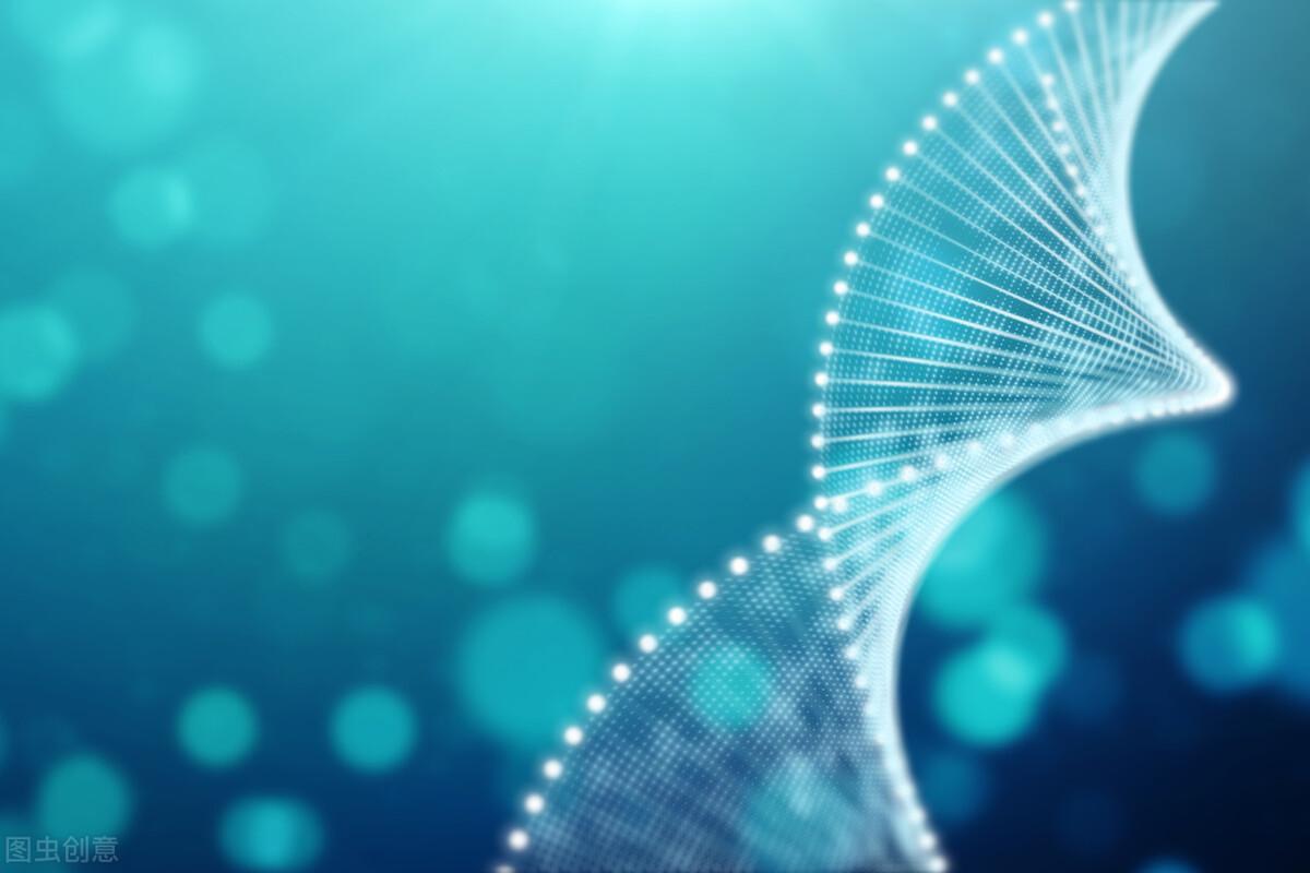 司法亲子鉴定报告（2022资讯）