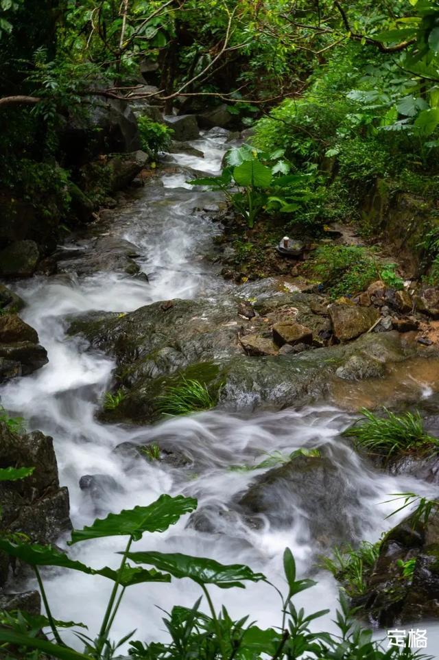 深圳旅游景点大全介绍，深圳的旅游景点有哪些地方（来深圳这10个地方玩吧）