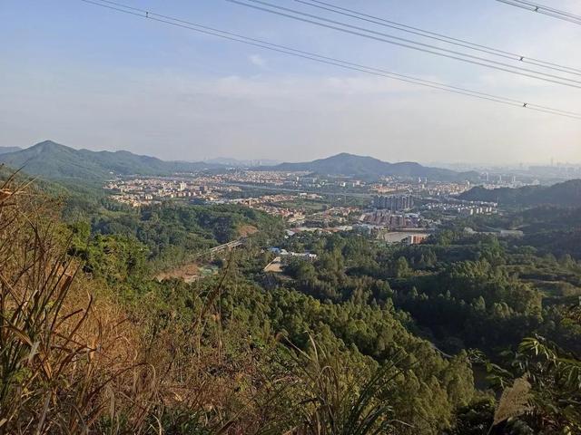 龙眼洞森林公园，广州龙洞森林公园介绍（广州徒步之渔龙线……）