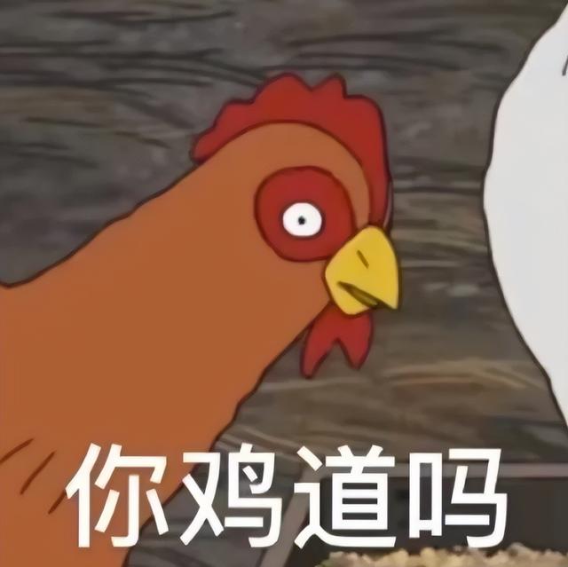 逗人开心的图片，高级文案幽默笑死人（一期看完就会开心的图片）