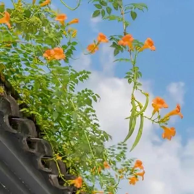 职业道德名词解释，职业道德的含义