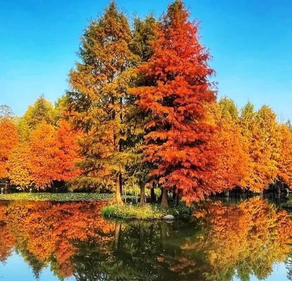 不如名师指路前面一句是什么，不如名师指路前面一句是什么成语（就是看透而不说透）