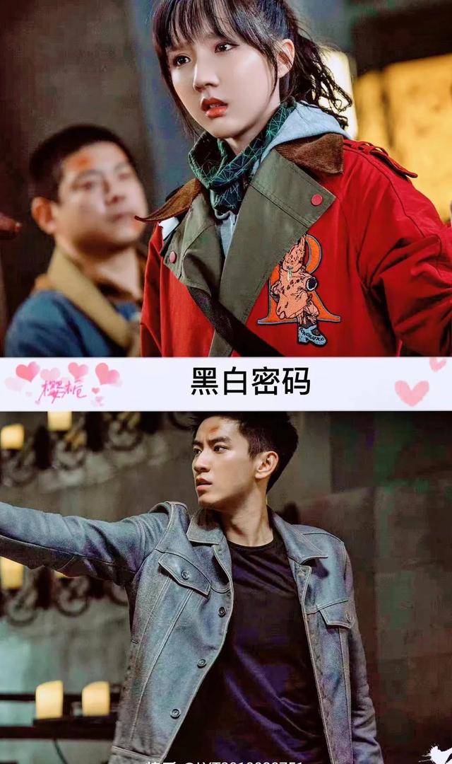 邢昭林和白鹿的电视剧是哪一部，白鹿邢少林的电视剧（30部由男女主角二次合作的电视剧）