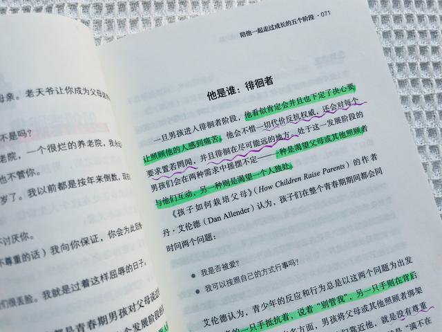 青春期男孩叛逆家长该怎样做，青春期男孩叛逆家长该怎样做,他特别烦妈妈怎么办（男孩到了青春期开始叛逆）