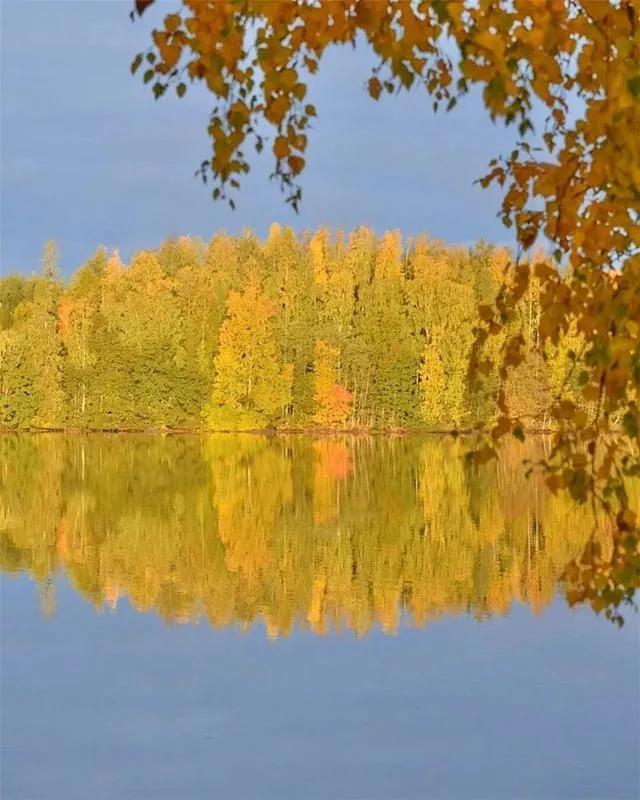 秋天是一个什么样的季节，秋天是一个什么样的季节写一段话（分享绝美秋色：叠翠流金）