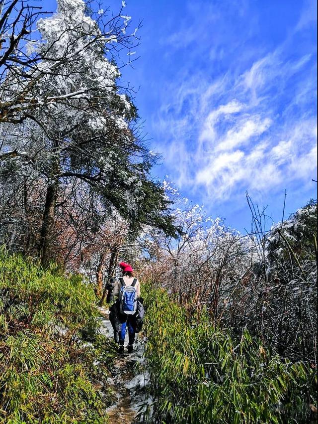 天台山旅游攻略，天台山旅游攻略大全（享受当下冬日的清闲与暖意）