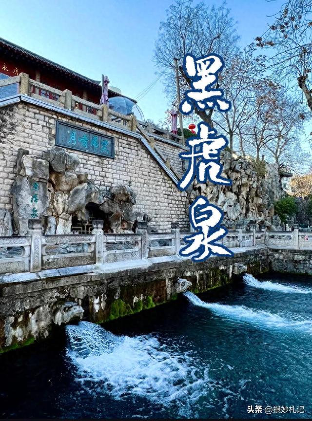 黑虎泉|老济南人每天都去的地方
