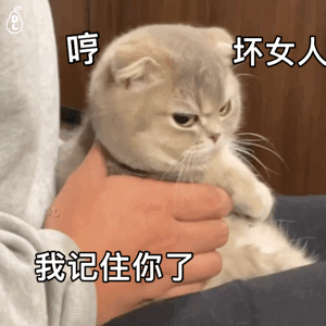 猫猫表情包，猫猫虫表情包（你家里是开幼儿园的吗图片）
