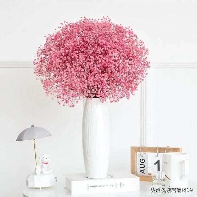 蓝色满天星代表什么意思，送女生蓝色满天星代表什么（不同颜色满天星代表的花语）