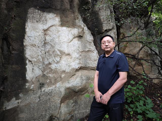 细芦子藤的功效与作用，青藤子的功效与作用（让石头“说话”房山考古专家耗十年著成875件碑刻通志）