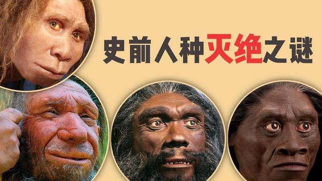 地球上有哪些人类族群，地球除了人类还有什么种族（为什么最后只剩下了我们智人）