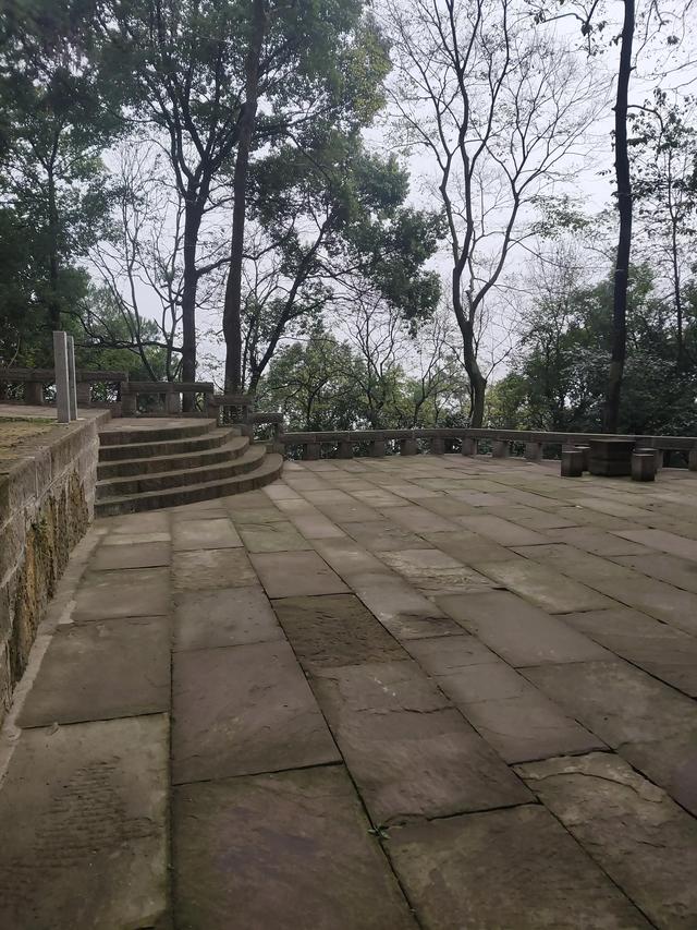 歌乐山森林公园，重庆旅游必去景点（歌乐山国家森林公园）