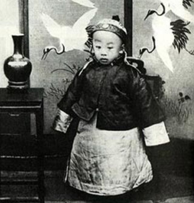 清朝最后一个皇帝是谁，清朝的最后一个皇帝是谁（为何死后谥号一直没被认可）