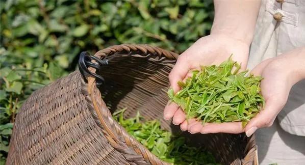 合肥有什么特产，安徽合肥的特产（你知道安徽有哪些特产么）