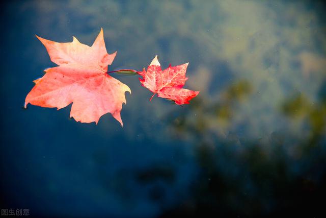 2021年立秋文案短句干净治愈 2021年立秋文案仪式感，2021年立秋文案短句干净治愈（那些藏在文案里的秋天）