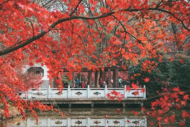10种代表秋天的景物，秋天的景色有哪些（这10个小众绝美的秋景地）