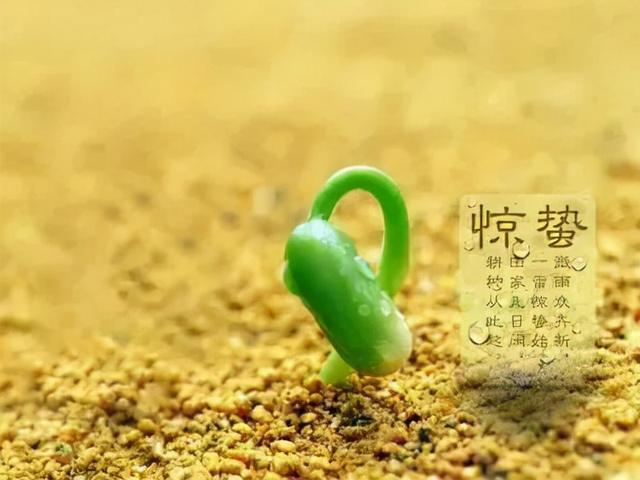 惊蛰古诗词，惊蛰古诗词十二首（惊蛰节气古诗词十首）