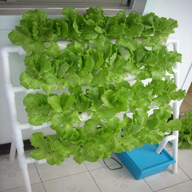 怎么做泥最简单成功，怎么做泥简单（农村1小哥塑料管自制自动灌溉系统）