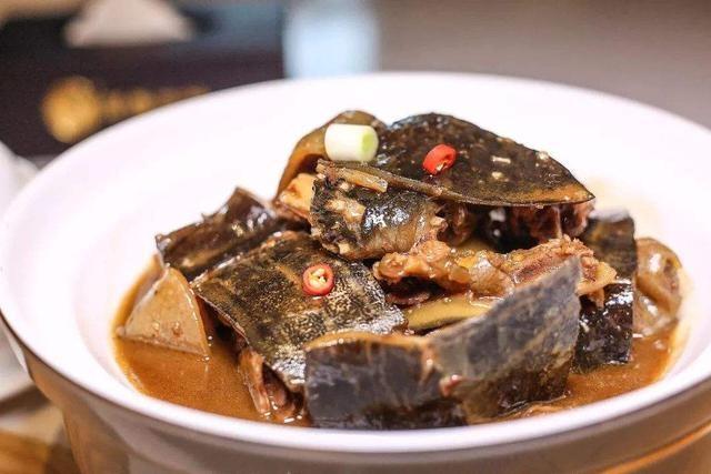 巴西龟可以吃吗，自养的巴西龟能吃吗（巴西龟在我国泛滥成灾）