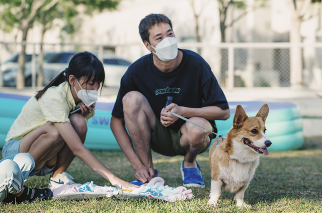 张震岳的《玩乐令》 歌词，张震岳的《玩乐令》（阿那亚，怎么住）