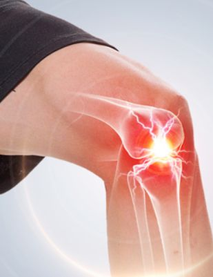 灵芝草的用处是什么，灵芝草的用处是什么作用（这句话有没有道理）