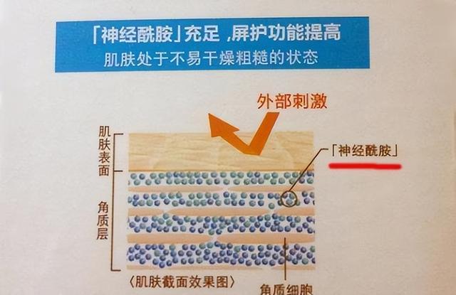 脸部能天天热敷吗，热敷脸有哪些功效与作用（面膜可以天天敷吗）