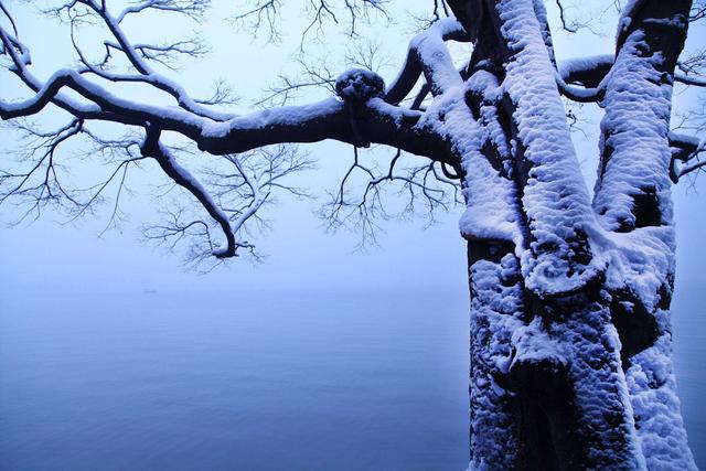 有关小年的经典诗句，哪首诗里的小年和你那里是一样的