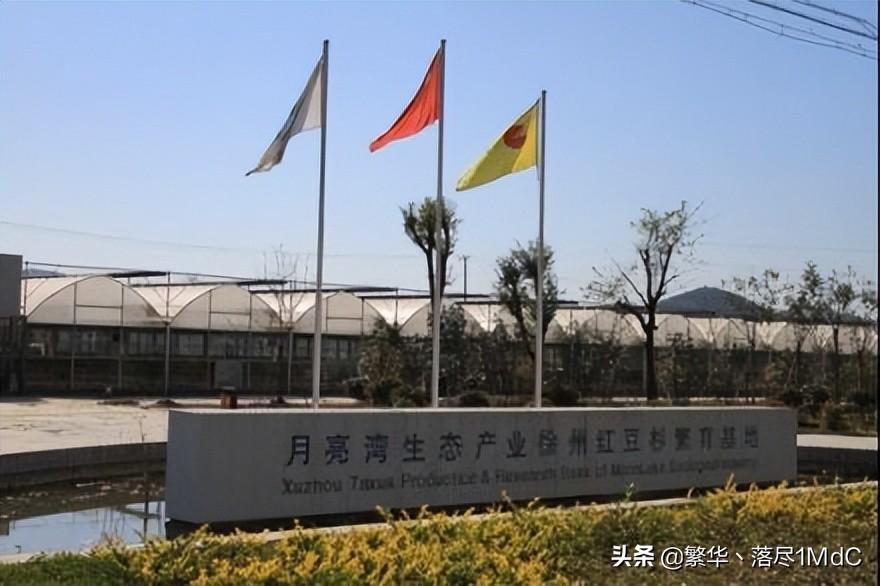 徐州市铜山区()