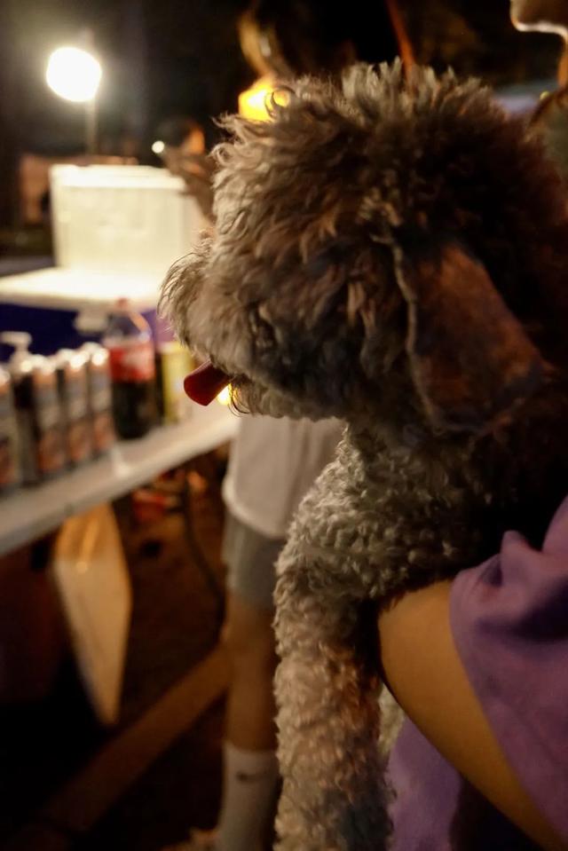 一句话霸气欢迎词，一句话欢迎词口号（三色路啊，就是不夜城）