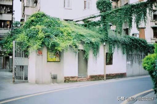 挣钱难的话，挣钱难要钱更难的句子（因为你眼高手低）