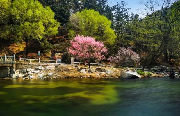 泰山好玩吗，泰山旅游攻略（此生不老，必去泰山）