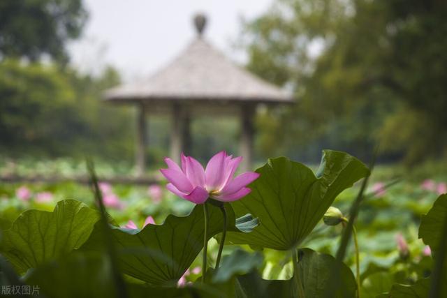 平均报酬率计算公式，计算平均报酬率的公式是什么（44套会计计算公式汇总）