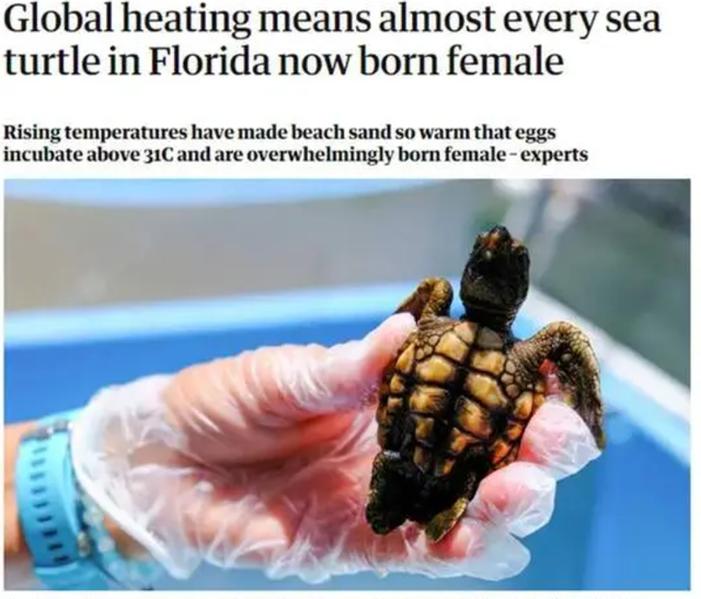 2021年天气为什么这么热，2021年天气为什么这么热最新研究（科学家：这可能只是起点而已）