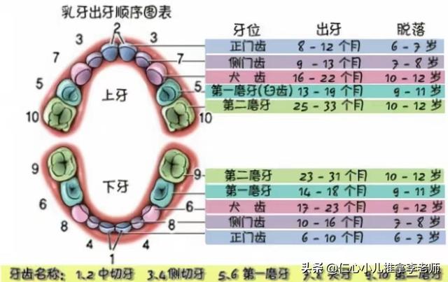 小女孩发育年龄和症状，小女孩早熟的征兆（儿童生长发育各年龄段的特点）