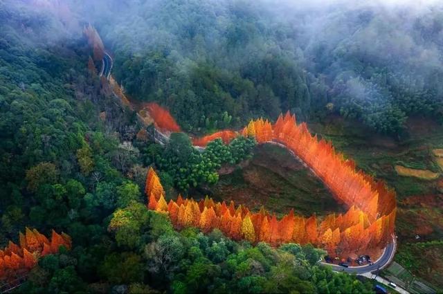 秋天是一个什么样的季节，秋天是一个什么样的季节写一段话（分享绝美秋色：叠翠流金）
