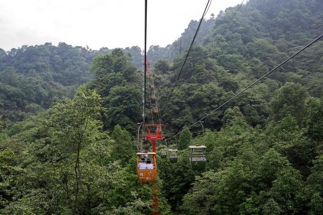 青城山旅游攻略，青城山旅游攻略一日游最佳路线（青城山一日游要怎么玩）