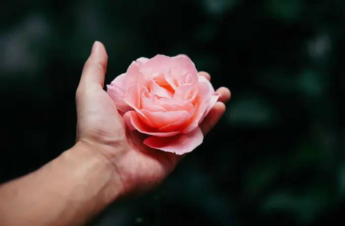 如何证明我妈是我妈（私生女的人生路）