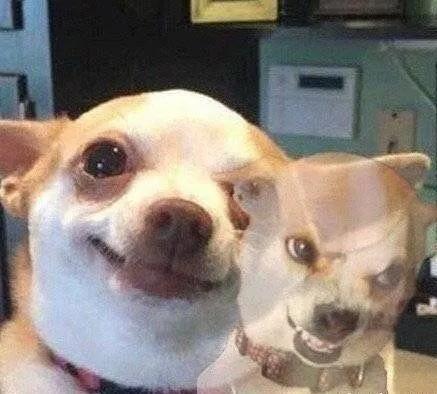 沙雕是什么意思，网络沙雕是什么意思（另一层意思你懂了吗）