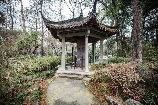 蘇堤春曉,曲苑風荷,平湖秋月,斷橋殘雪,柳浪聞鶯,花港觀魚,雷峰夕照