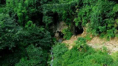 重庆周边凉快的避暑打卡地两三天，重庆周边这⑧个避暑胜地只有25℃