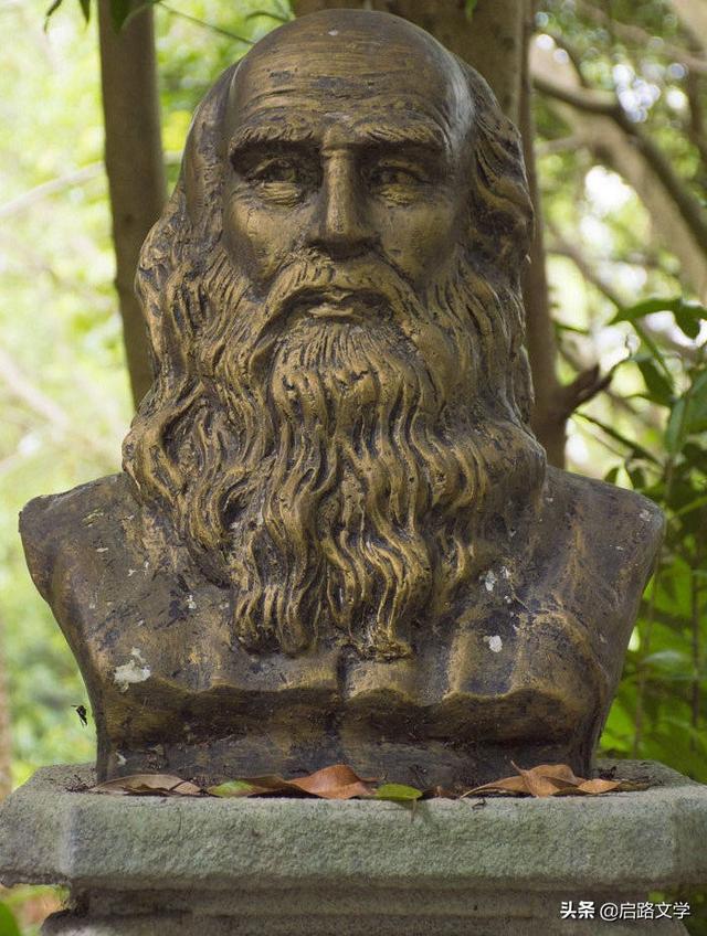 大卫芬奇经典语录，大卫林奇语录（达芬奇13句充满人生哲理名句）