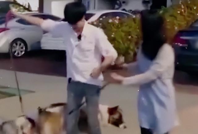 华晨宇和张碧晨，华晨宇和张碧晨复合吗（昔日她远赴他乡生下爱情结晶）
