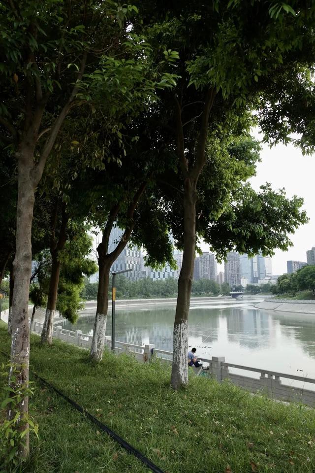 一句话霸气欢迎词，一句话欢迎词口号（三色路啊，就是不夜城）