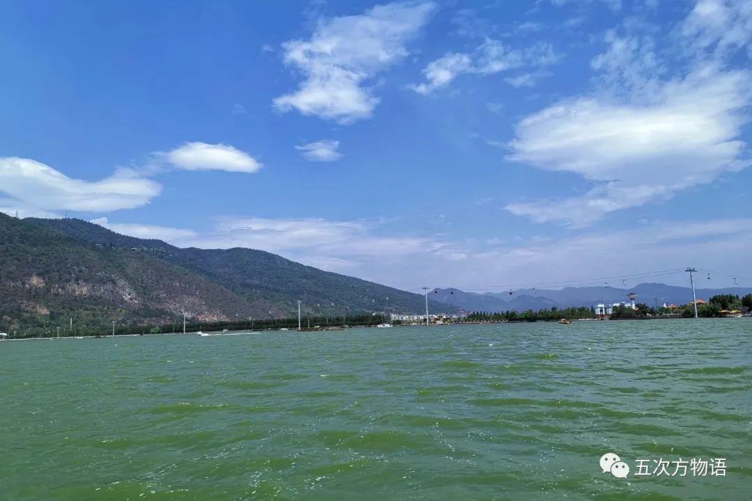 云南本土野生鱼类图鉴：精选100种珍稀鱼种高清图片大全
