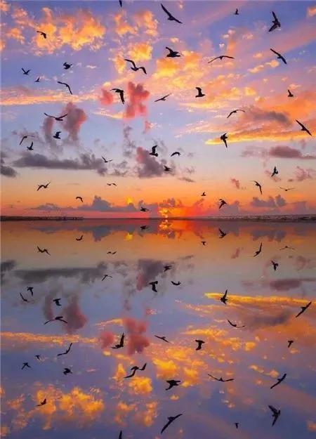 落日余晖图片，落日余晖（壁纸：黄昏夕阳）