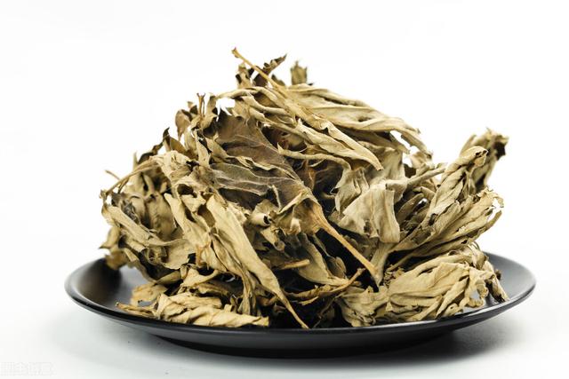 柏叶的功效与作用，侧柏叶的功效与作用（艾叶与经方2首介绍——柏叶汤）