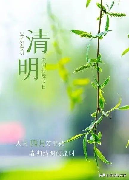 清明节的来历50个字，清明节的由来故事（清明节的渊源、习俗、饮食及假期）